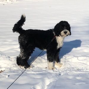 Meet your Posher, Lori